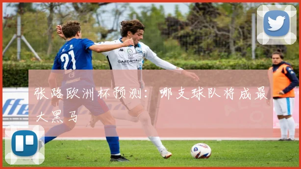 张路欧洲杯预测:哪支球队将成最大黑马