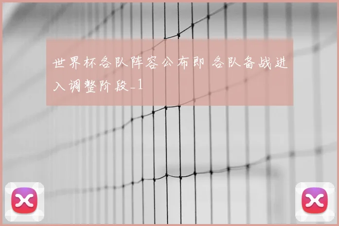 世界杯各队阵容公布即 各队备战进入调整阶段_1