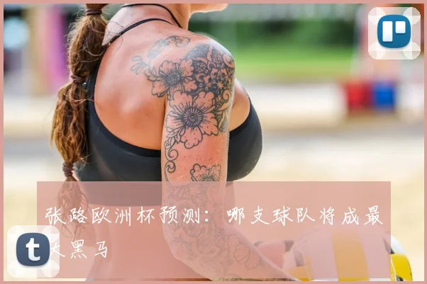 张路欧洲杯预测：哪支球队将成最大黑马