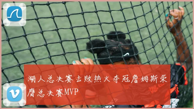 湖人总决赛击败热火夺冠詹姆斯荣膺总决赛MVP