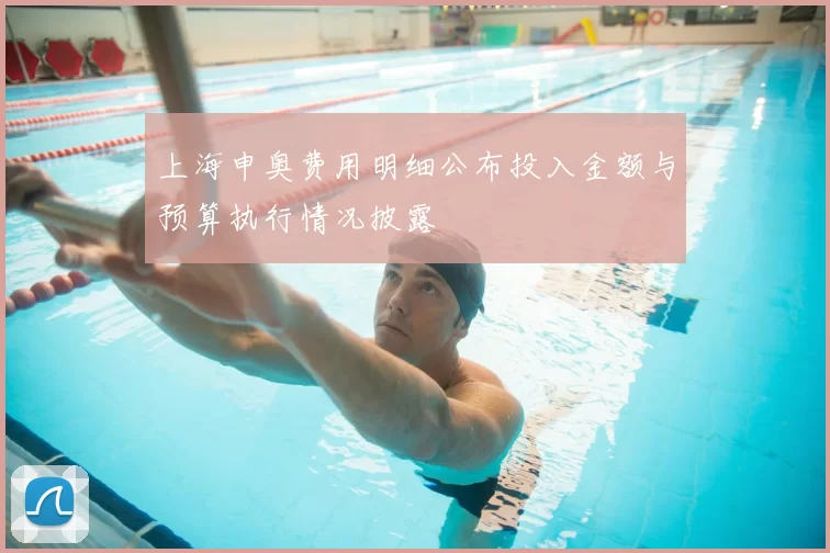 上海申奥费用明细公布投入金额与预算执行情况披露