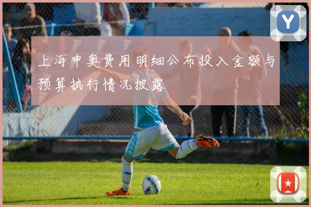 上海申奥费用明细公布投入金额与预算执行情况披露