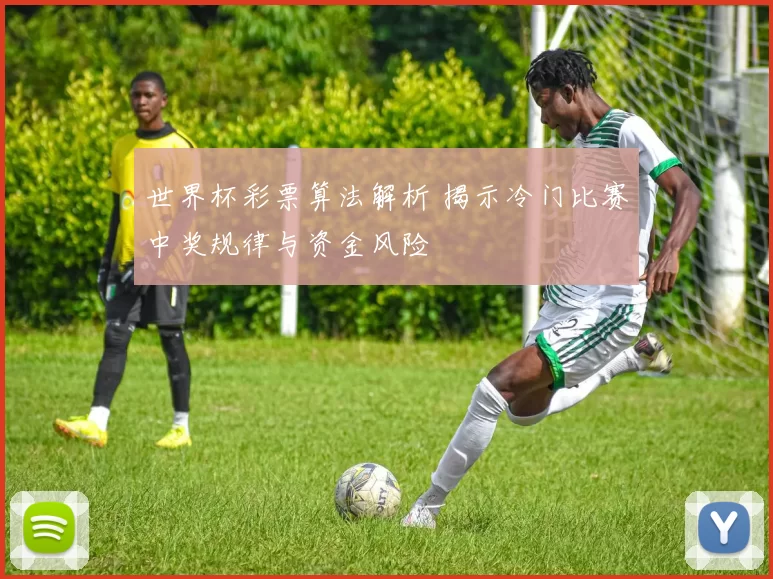 世界杯彩票算法解析 揭示冷门比赛中奖规律与资金风险