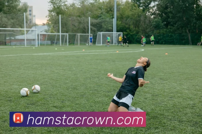 mksports官方网站发展历程